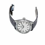 Omega Seamaster Aqua Terra Co-Axial Master Chronometer 220.13.38.20.02.001 Leather Grey - Image 3