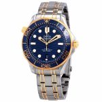 Omega Seamaster Diver Master Co-Axial 210.20.42.20.03.001 - Image 2